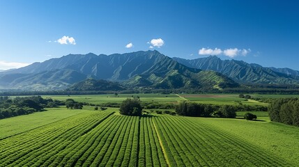 Obraz premium A breathtaking scenic view of a lush green farm stretching towards a majestic mountain range under a clear blue sky