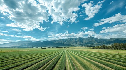 Naklejka premium A scenic view of a farm with neatly arranged crop rows, set against a backdrop of majestic mountains and a clear, azure sky