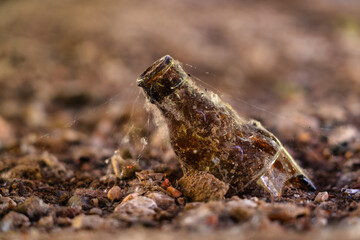Vergrabene Bierflasche