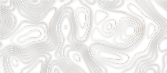 Abstract 3d wave paper curved reliefs background .gradient multicolor wave curve lines banner background design .3d topographic contours map background .Vector 3d geographic contour map.