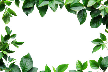 A transparent background with a green leafy border