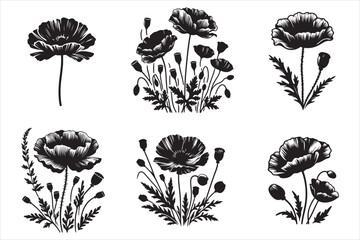  Poppy flower silhouette vector illustration set