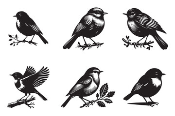 Robin Bird silhouette vector illustration set