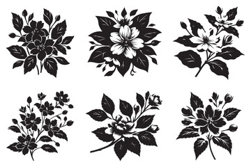 Vector silhouette of Jasmine flower illurstration set