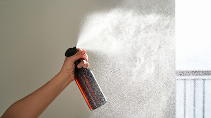 A woman's hand sprays an air freshener in a room.