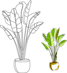 line drawing of a flowers in a pots. Beautiful flowers isolated on a white background. Vector illustration