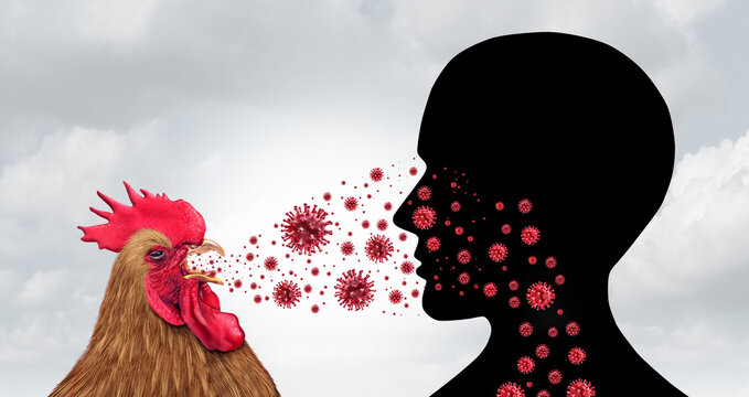 Inclusion equity And Cultural Unity as a celebration of world day culture and recruit membership concept as a diverse community of hands coming together joining a diversity collaboration.