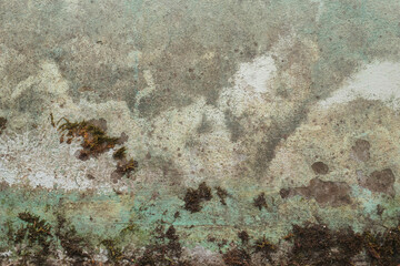 Rough textured shabby wall covered by moos