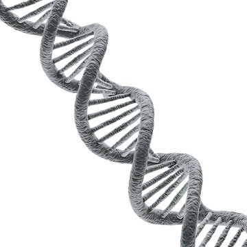 recommend clip art: DNA genome structure isolated on white background