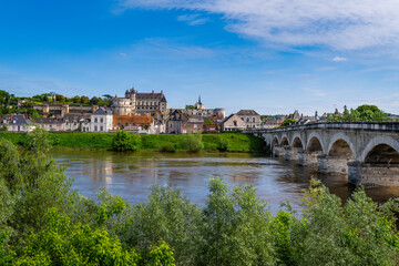 Naklejka premium The town of Amboise on the Loire, France (rooftops)