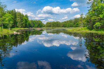 spring pond reflecting blue sky and white cloud