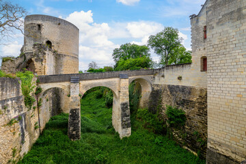 Obraz premium The Royal Fortress of Chinon, Loire Valley France (wide view)