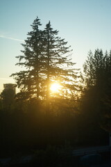 Fototapeta premium sunset