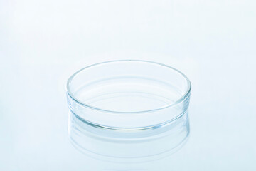 Empty petri dish on a glossy white surface, close-up, selective focus.