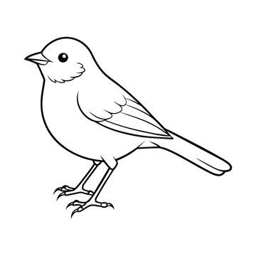 recommend clip art: vector bird line art on a branch
