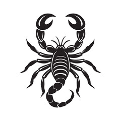 scorpion isolated on white