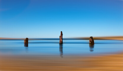 Naklejka premium Tree remnants of wood posts on the beach, captured with long exposure. 