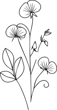 black line art sweet pea flowers clip art preview