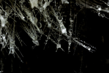 drops of water on thin white threads on a black background, selective focus, background