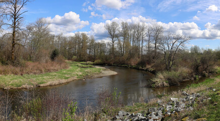 Creek winding between leafless trees