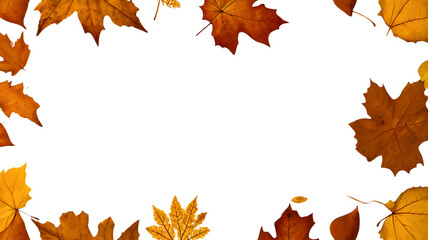 Autumn leaves border frame isolated on transparent background. Fall concept with colorful leaves. Decoration autumn design element/ Mock up for product presentation