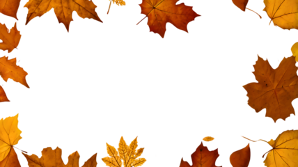 Autumn leaves border frame isolated on transparent background. Fall concept with colorful leaves. Decoration autumn design element/ Mock up for product presentation