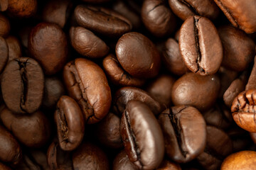 COFFEE GRAINS