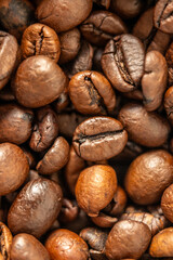 COFFEE GRAINS
