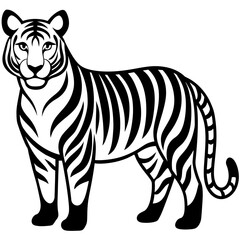 Tiger vector silhouette on white background