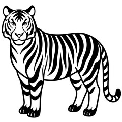 Tiger vector silhouette on white background