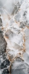Abstract marble texture with white and brown veins.