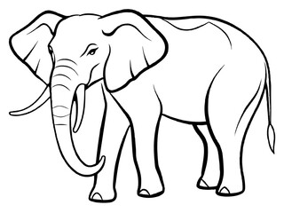 Fototapeta premium A majestic elephant with large tusks in line art style