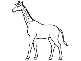 Obraz premium A gentle giraffe with long legs in line art style