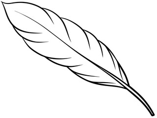 Fototapeta premium A delicate line art of a feather