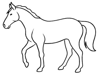 A continuous line drawing of a horse