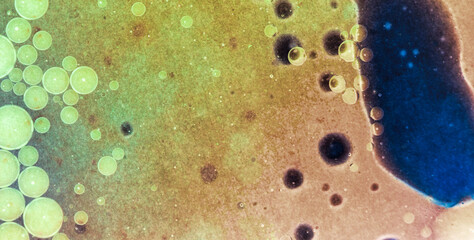 Whimsical and Energetic Colorburst Creating a Captivating and Abstract Visual Experience