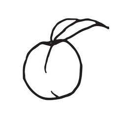 Peach fruit with leaf hand drawn vector illustration on isolated white background