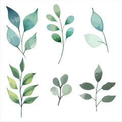 a set of four different leaves on a white background