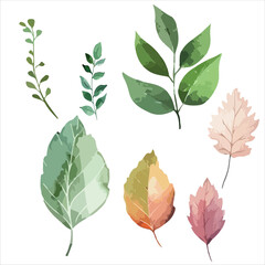 Obraz premium a set of four different colored leaves