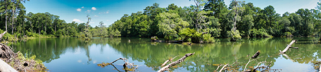 This is a panoramic picture of a small river, flowing through a forest, on sunny afternoon, next to a small sandy beach.