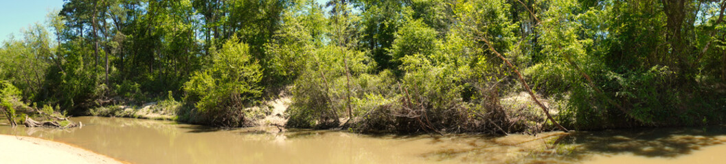 This is a panoramic picture of a small river, flowing through a local forest, on a sunny summer day in Texas.