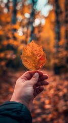 closeup of hand holding an autumn leaf in a colorful fall forest