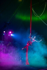 Professional aerial straps silks woman gymnast circus performance at blue arena with dark background backlit with colored concert lights, performing gymnastic element © Michael Rekochinsky