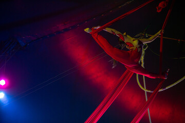 Professional aerial straps silks woman gymnast circus performance at blue arena with dark background backlit with colored concert lights, performing gymnastic element © Michael Rekochinsky