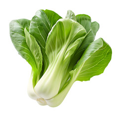 bok choy isolated on transparent background. generative ai