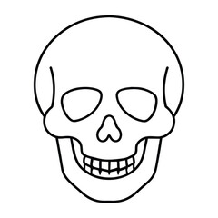 Fototapeta premium Vector Outline of a Human Skull with Minimalistic Design