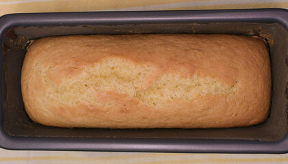 Top view on homemade Lemon pudding in Loaf pan.