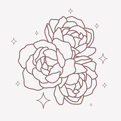 Minimalistic vector illustration of peonies