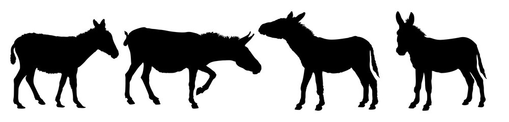 Donkey silhouette Collection