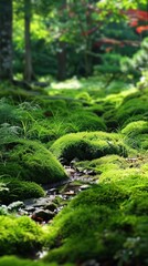 Lush green moss covering the forest floor, creating a serene and peaceful natural landscape in a tranquil wooded area.